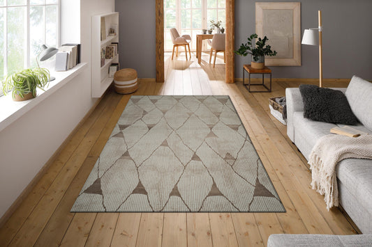 Brown Plush Feel Polypropylene Woven Carpet - Nesta By Spaces