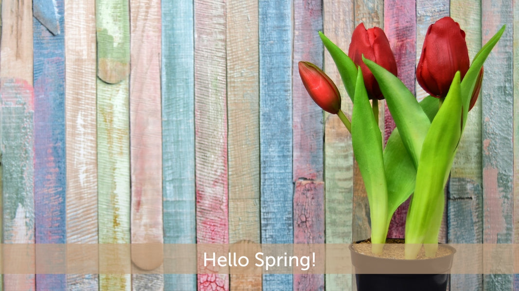 Give Your Home a Colourful Spring Makeover