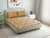 Ornate Brown-Light Yellow 100% Cotton Double Bedsheet - Seasons Best Premium By Core By Spaces