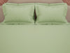 Solid Light Green Solid Large Bedsheet - Eminence By Spaces