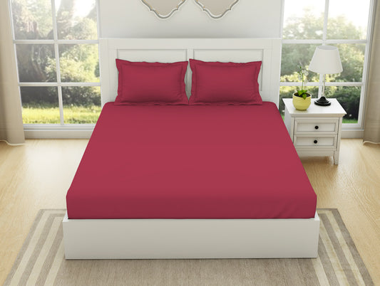 Solid Red 100% Cotton King Fitted Sheet - Everyday Essentials By Spaces