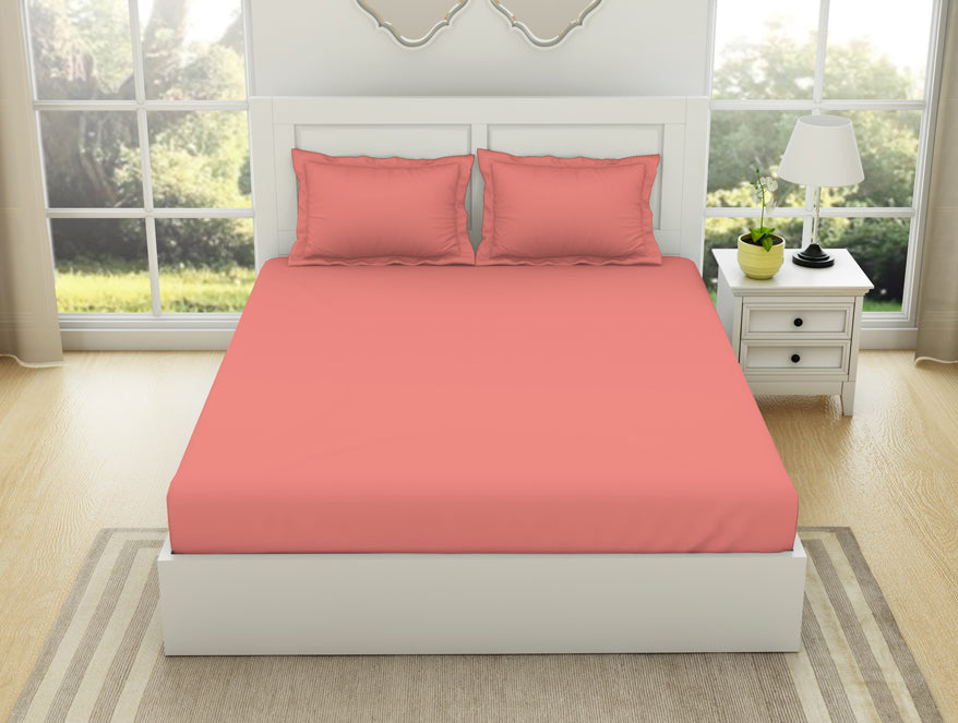Solid Coral - Coral 100% Cotton Queen Fitted Sheet - Everyday Essentials By Spaces