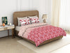 Ornate Haute Red - Red 100% Cotton Double Bedsheet - Adonia By Spaces