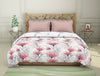 Floral Teaberry - Pink 100% Cotton Shell Double Quilt - Blockbuster Plus By Spaces