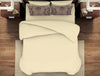 Solid/Ornate Ivory/Amphora - White 100% Cotton Large Bedsheet - Reagalis By Spaces