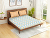 Ornate Light Blue 100% Cotton Double Bedsheet - Atrium Plus Ecom By Spaces